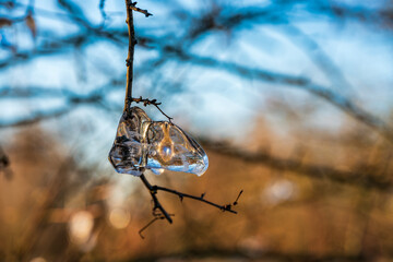 icicles colored by sunlight