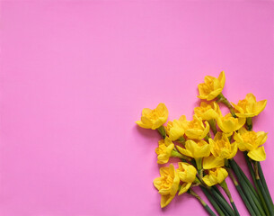 Yellow daffodils on pink surface shot from above with space for text. Flat lay, top view, copy space. Easter and Mother's Day concept. Floral background.