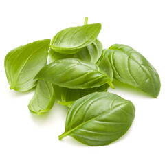 Fototapeta premium Sweet basil herb leaves handful isolated on white background closeup