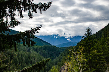 View of the mountains in the clouds, coniferous forest in the mountains, Washington state