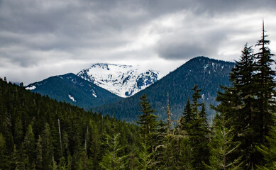 Mountains in the snow, overgrown with wood. Thick clouds over the mountains. Montana