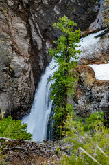 Obraz premium Clear Creek Falls, Wenatchee National Forest. Rainier National Park