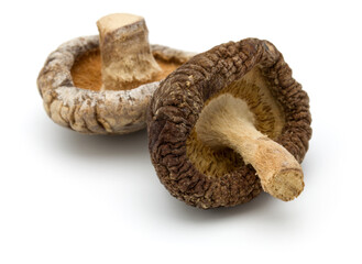 Dried Shiitake Mushroom isolated on white background
