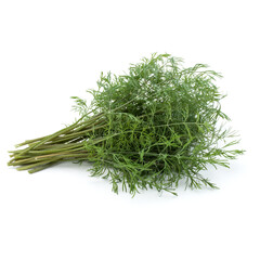 fresh green dill herb leaves bunch isolated on white background cutout