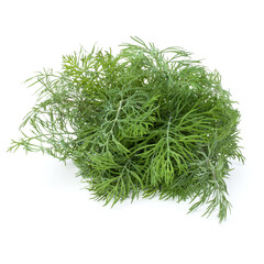 fresh green dill herb leaves bunch isolated on white background cutout