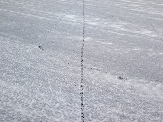 Aerial drone top view. Frosty pattern drawing on the river. Cloudy frosty winter morning.