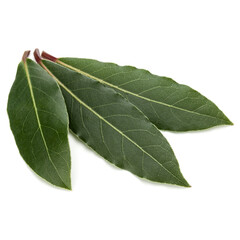 Obraz premium Aromatic bay leaves