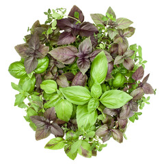 Fresh spices and herbs bouquet isolated on white background cutout. Sweet basil, red basil leaves,...