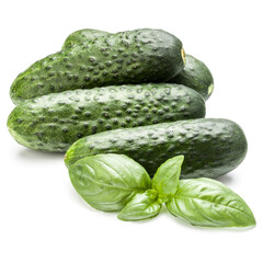 Cucumber vegetable and basil leaves isolated on white background cutout
