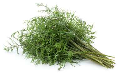 fresh green dill herb leaves bunch isolated on white background cutout