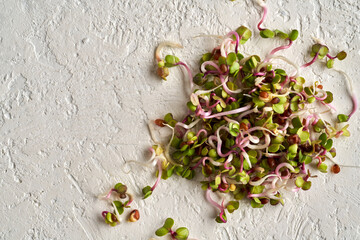 Fresh radish sprouts on a white background, top view with copy space