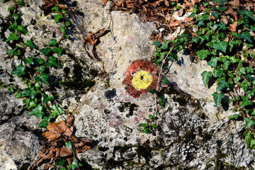 Croatian right path forrest marker