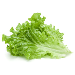 fresh green lettuce salad leaves isolated on white background