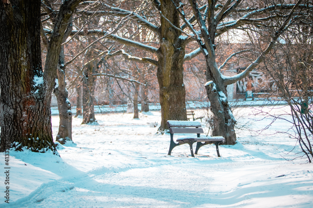 Wall mural bench in the snow