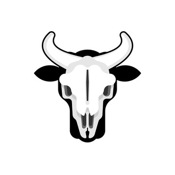 Bull skull isolated. Cow skeleton head. vector illustration
