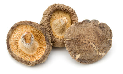 Dried Shiitake Mushroom isolated on white background