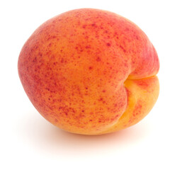 One apricot isolated on white background cutout