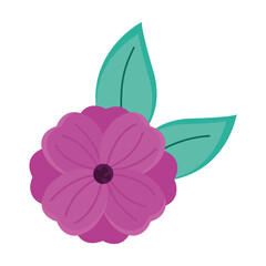 purple flower and leafs easter decoration icon vector illustration design