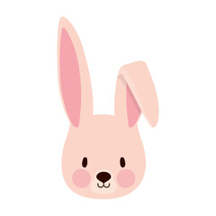 rabbit over a white background