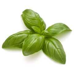 Sweet basil herb leaves isolated on white background closeup