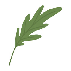 leaf of green color with stem in a white background