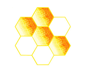 honeycomb frame, isolated on white