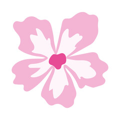 sunflower with a pink color