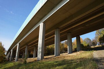 Fototapeta na wymiar Motorway bridge with concrete pillars above ecological protected area, green nature corridor concept