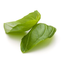 Sweet basil herb leaves isolated on white background closeup