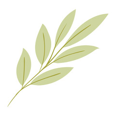 leaves of green color with stem