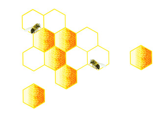 honeycomb frame, isolated on white