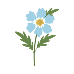 Fototapeta premium sunflower with a blue color on a white background