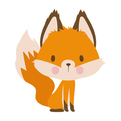fox on a white background
