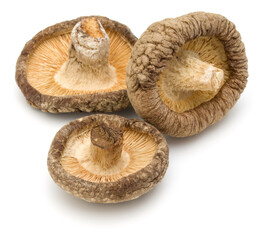 Dried Shiitake Mushroom isolated on white background