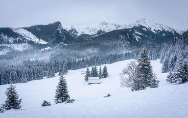 Fototapeta na wymiar Snowy valley - Kalatówki, Tatra Mountains, Poland