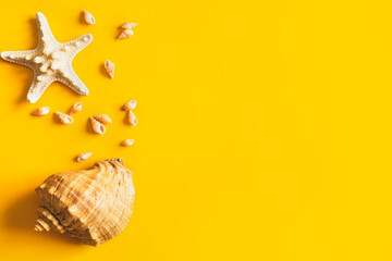 Obraz premium Starfish and seashells on a yellow background. Summer vacation concept.