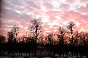 A sunset at the wood of Vincennes. Paris, France.