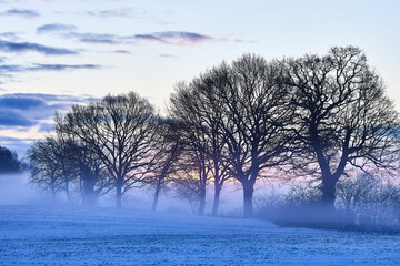 winterstimmung