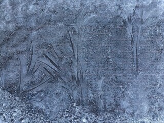 Ice patterns frost frozen on glass creating a plant like effect