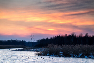 Abends im Februar am Federsee