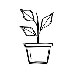 house plant in pot doodle style icon vector illustration design