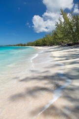 Man O' War Beach Vertical