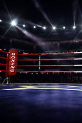 Empty ring boxing arena in the light of a spotlight - obrazy, fototapety, plakaty