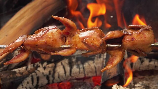 Close-up of delicious juicy quails on the skewer roasting above the open fire outdoors