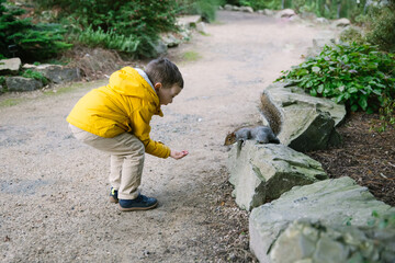 a boy in a yellow jacket feeding a squirrel in a park from hands, squirrel ready to jump to fetch food - 413357432