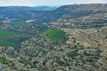 Ares, Valencia, Spain: 01.03.2021; The green forest on the spanish mountains