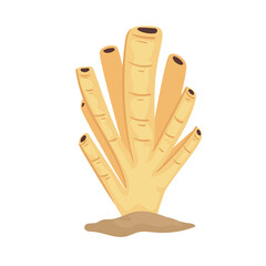 sea scourer life ocean icon vector illustration design