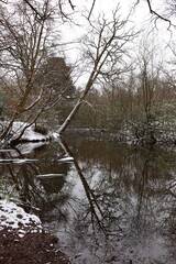 Snow covered forest reflection in lake - portrait