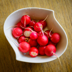 Red radishes in a white ceramic bowl on the table.