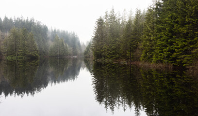 Fototapeta na wymiar Beautiful Panoramic View of a Scenic Lake with Rain Forest Trees during a foggy winter day. Taken at Rice Lake, Lynn Valley Park, North Vancouver, British Columbia, Canada. Canadian Nature Panorama